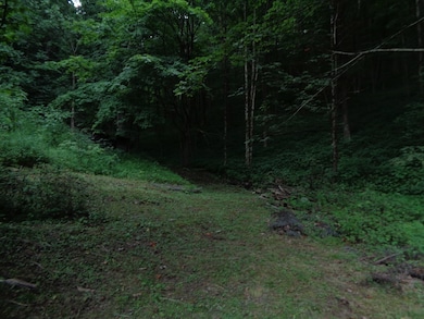 78 Rochetti Dr, Crumpler, WV 24868 - photo 4