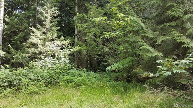 254TH 254th St E, Graham, WA 98338 - photo 7