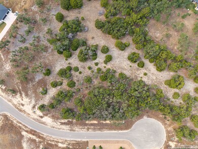 976 Scarlett Ridge Dr, Bulverde, TX 78163 - photo 4