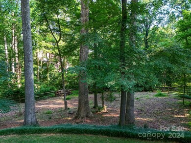 9019 Willow Trace Ct, Huntersville, NC 28078 - photo 3