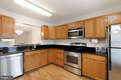 3669 Silver Spruce Cir, Burtonsville, MD 20866 - photo 7