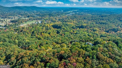 333 Song Bird Dr, Cleveland, GA 30528 - photo 3