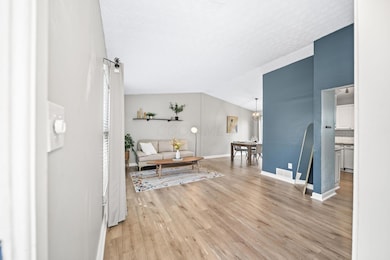 16-web-or-mls-DSC04185