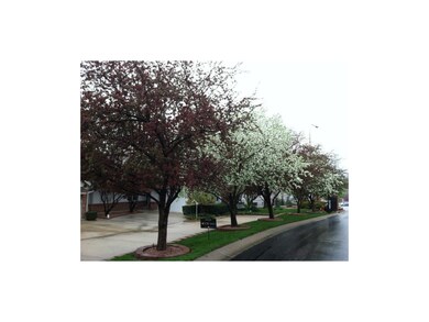Notice the Mature Gorgeous Trees in the Neighborho