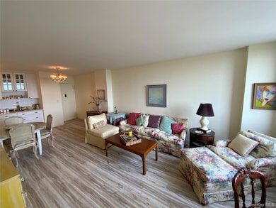 North Shore Towers unit 10X, Floral Park, NY 11005 - photo 4