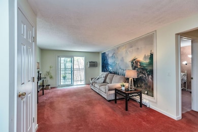 11 St James Place unit 1112, Nashua, NH 03062 - photo 7