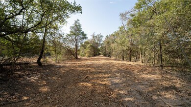 TBD TRACT 8 Cedar Rock Rd, Rosanky, TX 78953 - photo 3