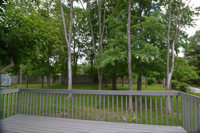 Rear Yard