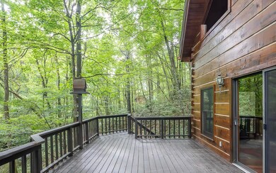 Additional View