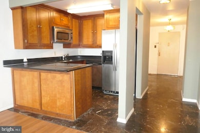 28 Allegheny Ave unit 1610, Towson, MD 21204 - photo 7