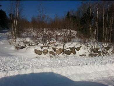 Lot 9 Beaver Pond Path, Groton, NH 03222 - photo 4