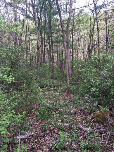 569 Old Kings Hwy, Accord, NY 12404 - photo 3