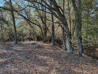 County Road 168, Morgan, GA 39866 - photo 7