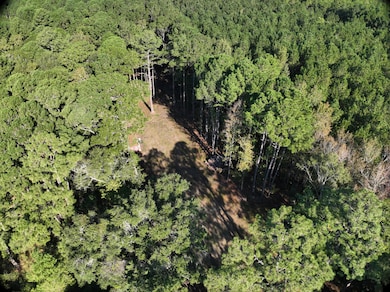 DJI_20251018100247_0017_V