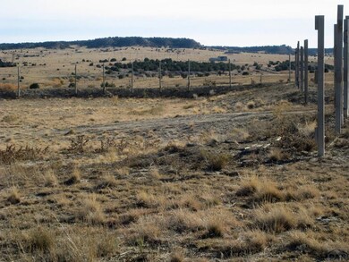 Par 39 Salt Creek Rd, Pueblo, CO 81004 - photo 7