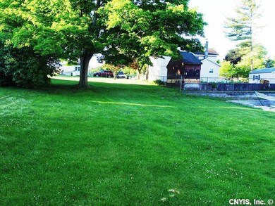 Yard. The yard goes back to the tree.