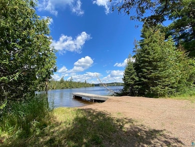 XXD Pine Peak Rd, Lutsen, MN 55612 - photo 5