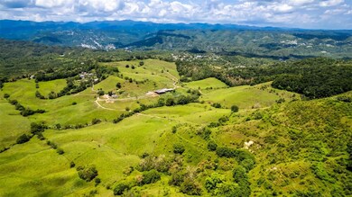 Km 1.6 633, Morovis, PR 00687 - photo 5