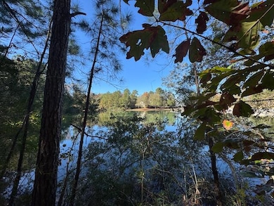 Lot #19 W Bay Dr, Lumberton, MS 39455 - photo 4