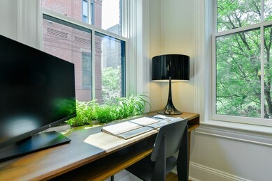 17 Worcester St unit 7, Boston, MA 02118 - photo 7