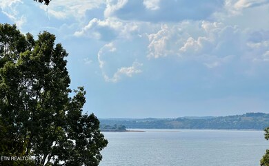 IMG_8519