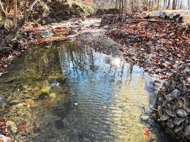 820 Sweet Lick Rd, Irvine, KY 40336 - photo 7