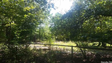 A Shale Ln, Conway, AR 72032 - photo 3