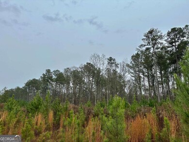 0 County Road 59 unit 10654046, Heflin, AL 36264 - photo 3