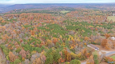 18 acres County Road 359, Pisgah, AL 35765 - photo 2