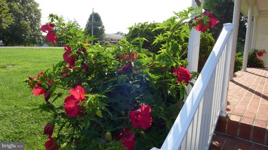 1240 Rosemont Dr, Knoxville, MD 21758 - photo 6