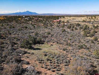 17467 Road 27 7, Dolores, CO 81323 - photo 7