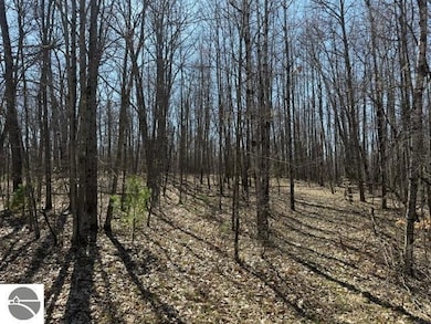 0 Ticino Dr unit 353 1932968, Reed City, MI 49677 - photo 5