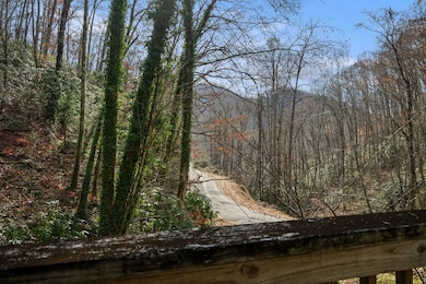 7065 Ellijay Rd, Franklin, NC 28734 - photo 4