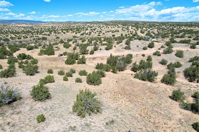 0 Fort Defina unit 25558757, Abiquiu, NM 87510 - photo 2