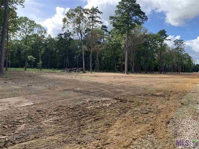 B-1-A-3 Zeb Chaney Rd, Zachary, LA 70791 - photo 4