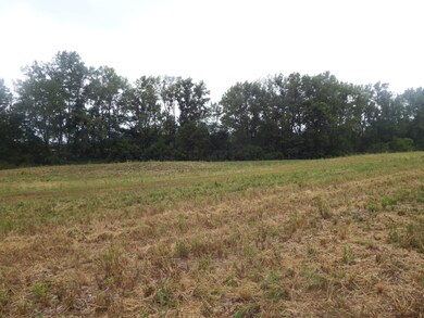 0 Ohio 104 unit Lot 1, Ashville, OH 43103 - photo 7