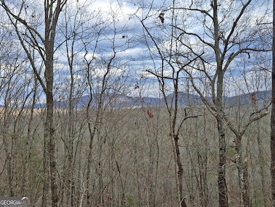 2372 Humphrey Mill Rd, Mineral Bluff, GA 30559 - photo 5