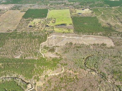 Brushy Ridge Rd, Smithville, OK 74957 - photo 4