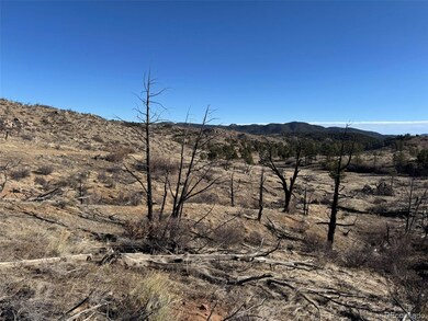0 F Path and 37th Trail, Cotopaxi, CO 81223 - photo 6