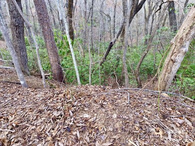 0 Rumbling Bald Rd unit 28 CAR4246158, Lake Lure, NC 28746 - photo 2