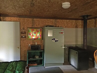 Wood stove and gun safe