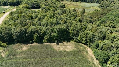 Parcel 4 Sycamore St, Dryden Township, MI 48428 - photo 3