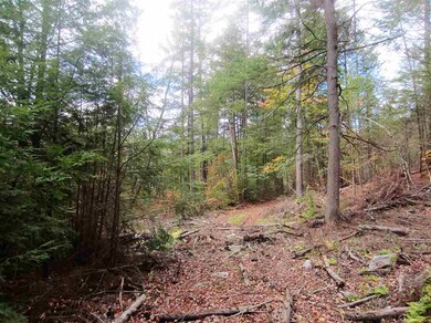 0 E Town Farm Rd unit 4606722, Putney, VT 05346 - photo 7