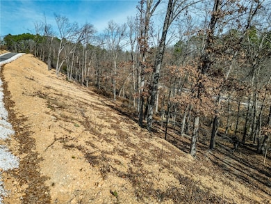 Lot 3 Winterberry Ln, Rogers, AR 72756 - photo 7