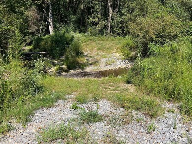 Bethlehem Rd, Equality, AL 36026 - photo 2