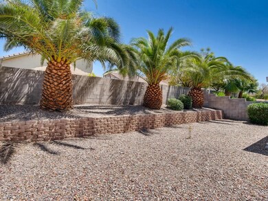 Backyard Oasis