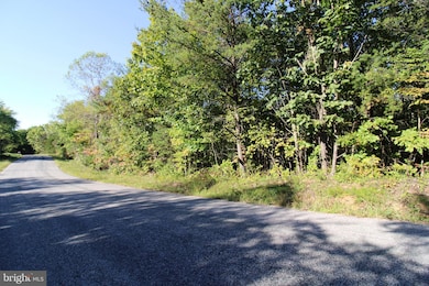 TBD Roark Mill Rd, Hurt, VA 24563 - photo 6