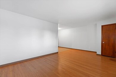 6250 W 64th Place unit 103, Chicago, IL 60638 - photo 6