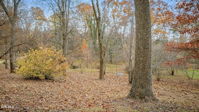 115 Mays Rd, Elizabethton, TN 37643 - photo 5