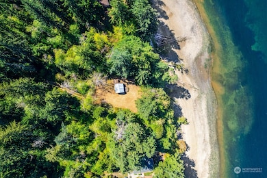 12808 Drayton Rd, Anderson Island, WA 98303 - photo 3